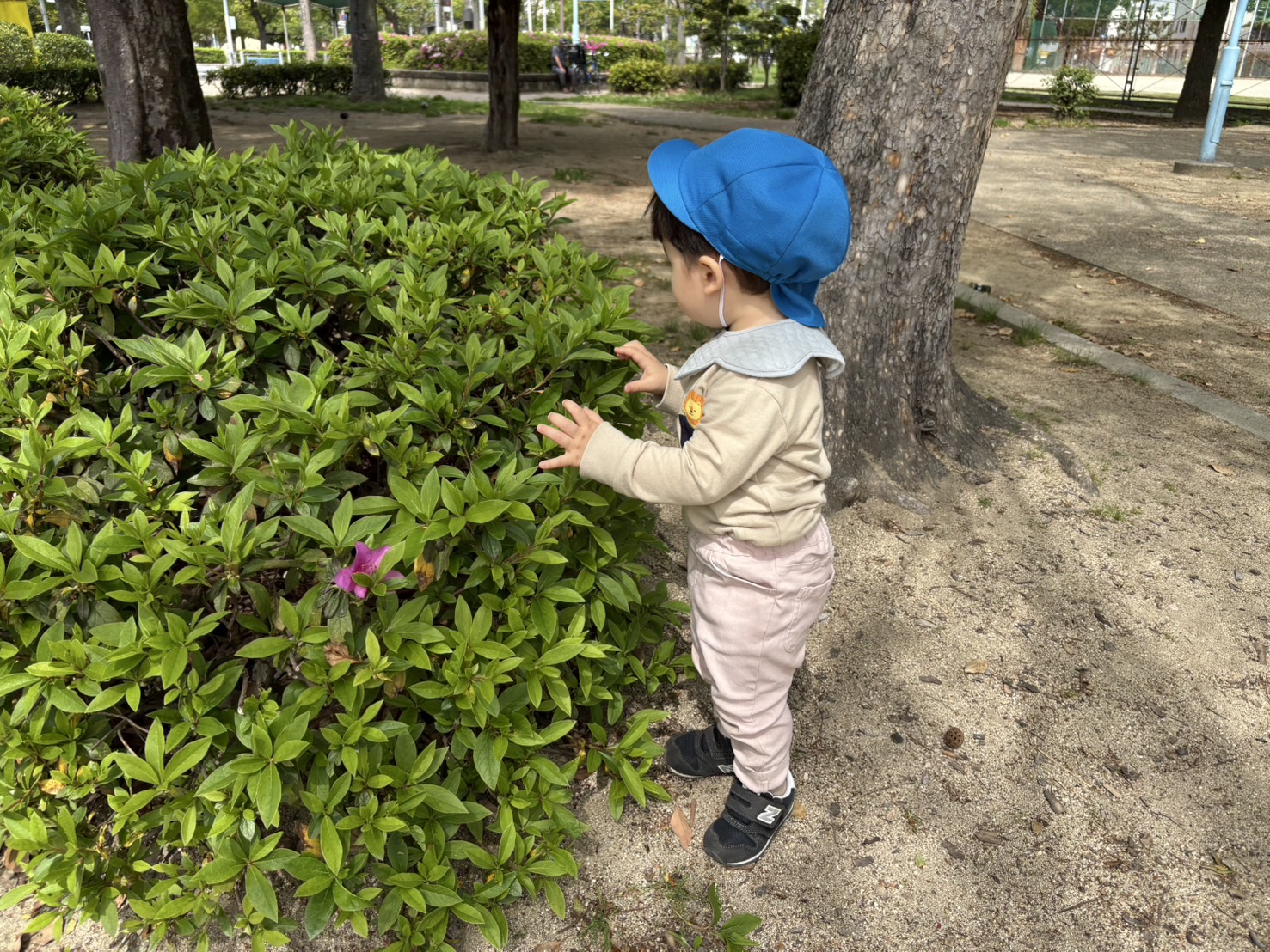 きせつ